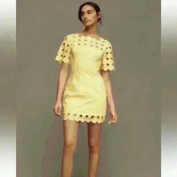 Anthropologie Cutwork Mini Shift Dress - Picture 2 of 8